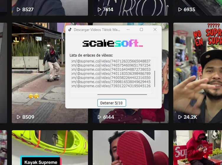 Descargar Videos de Tiktok sin Marca de Agua masivamente 201 1111122223333